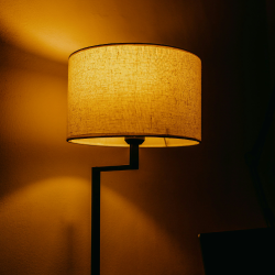 グロウ ウォールナイト